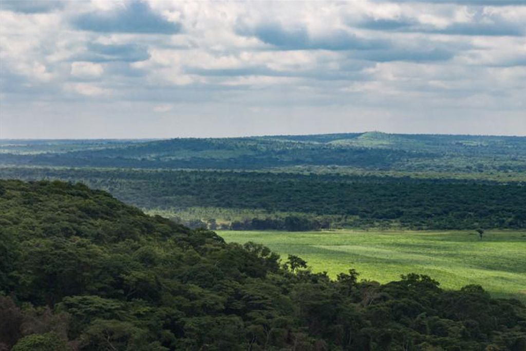 The Forest for Yetwene Project